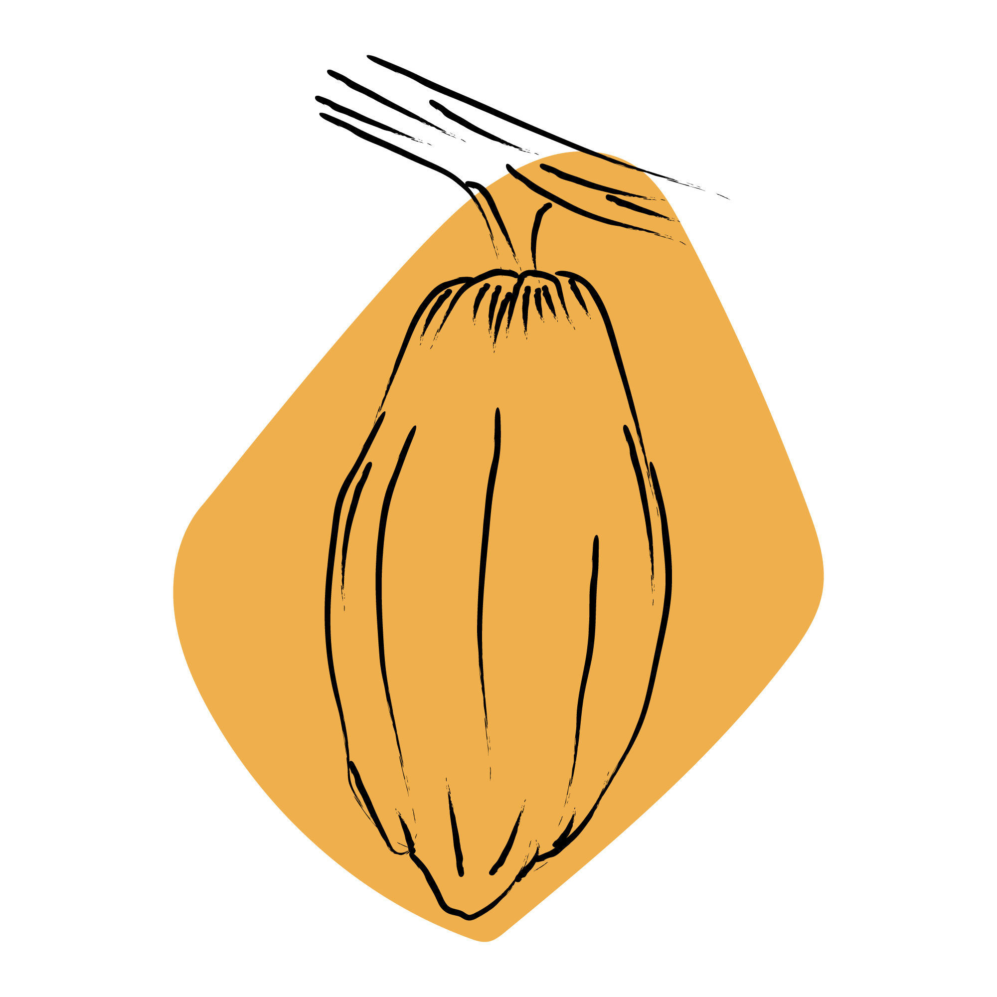 Simbólicos